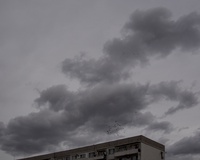 Birds flying above an apartment building under a cloudy sky